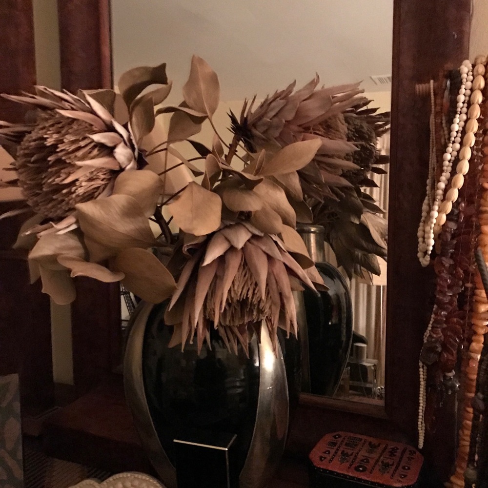 Meet your Posher, Daiga